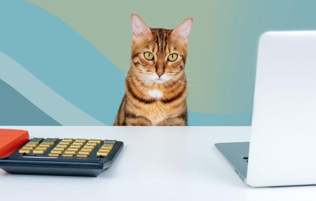 October Financial Planning