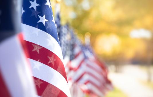 Veterans blog article