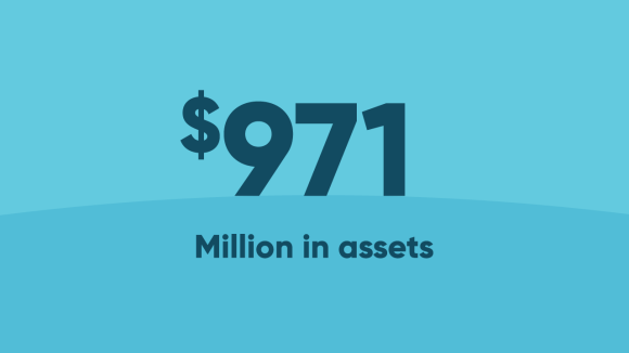 $971 Million in assets