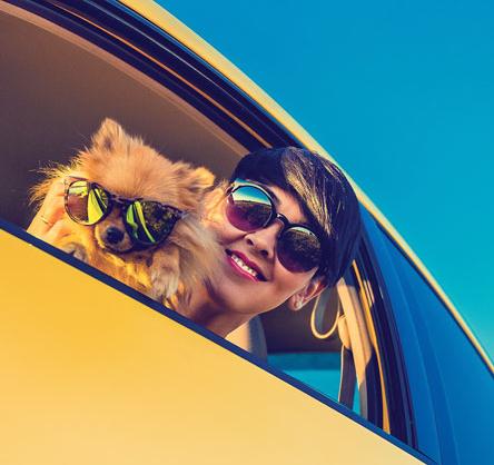 Person and dog looking out of a car window.