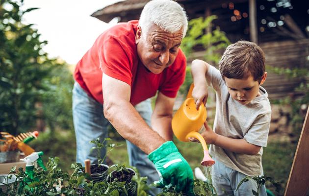 A man and a child watering plants in a garden.