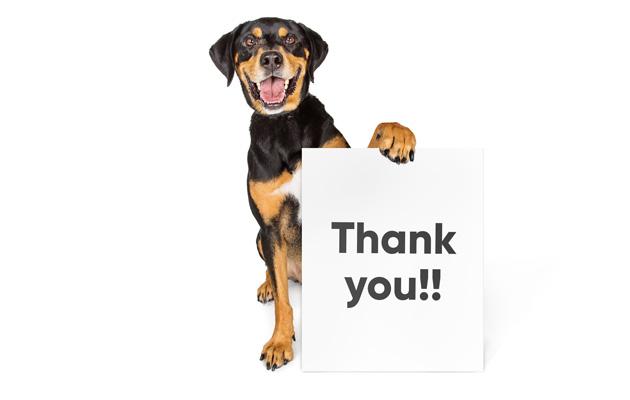 A photo of a dog holding a sign that reads "Thank you!!"