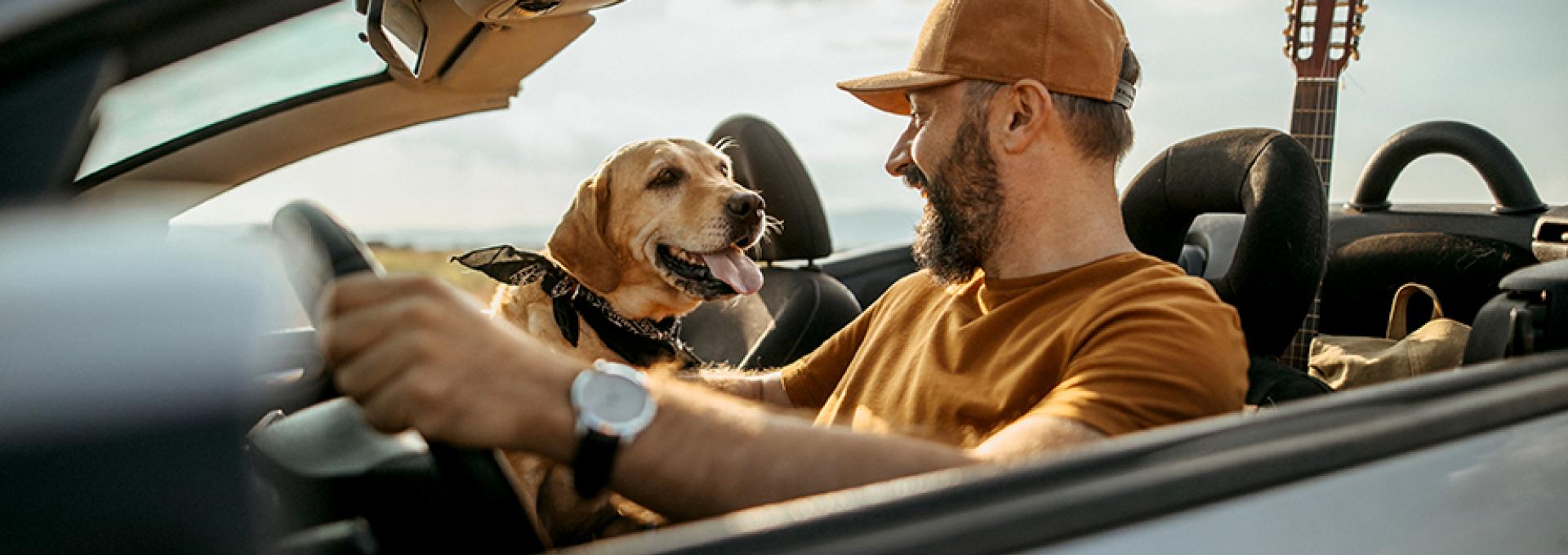 A man and his dog in a convertible.