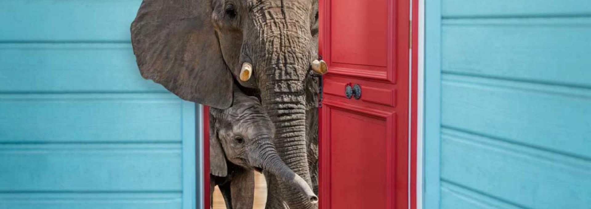 Two elephants are peeking out of the front door of their home.